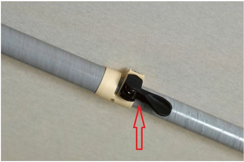 Isabella Fixus spanslot